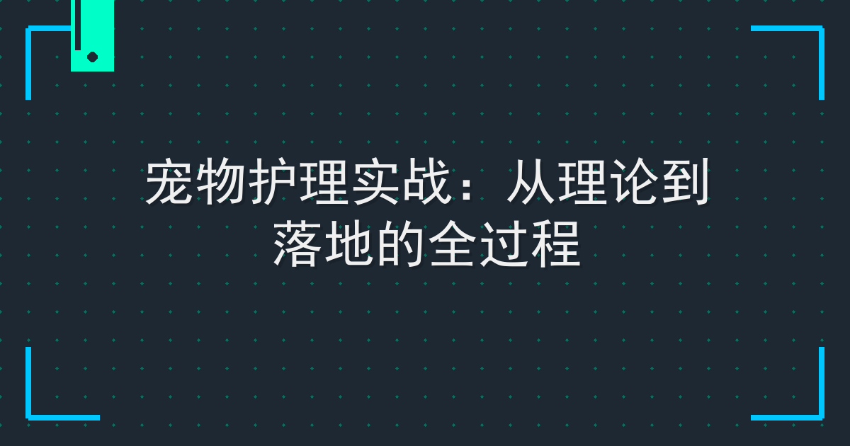 宠物护理实战：从理论到落地的全过程